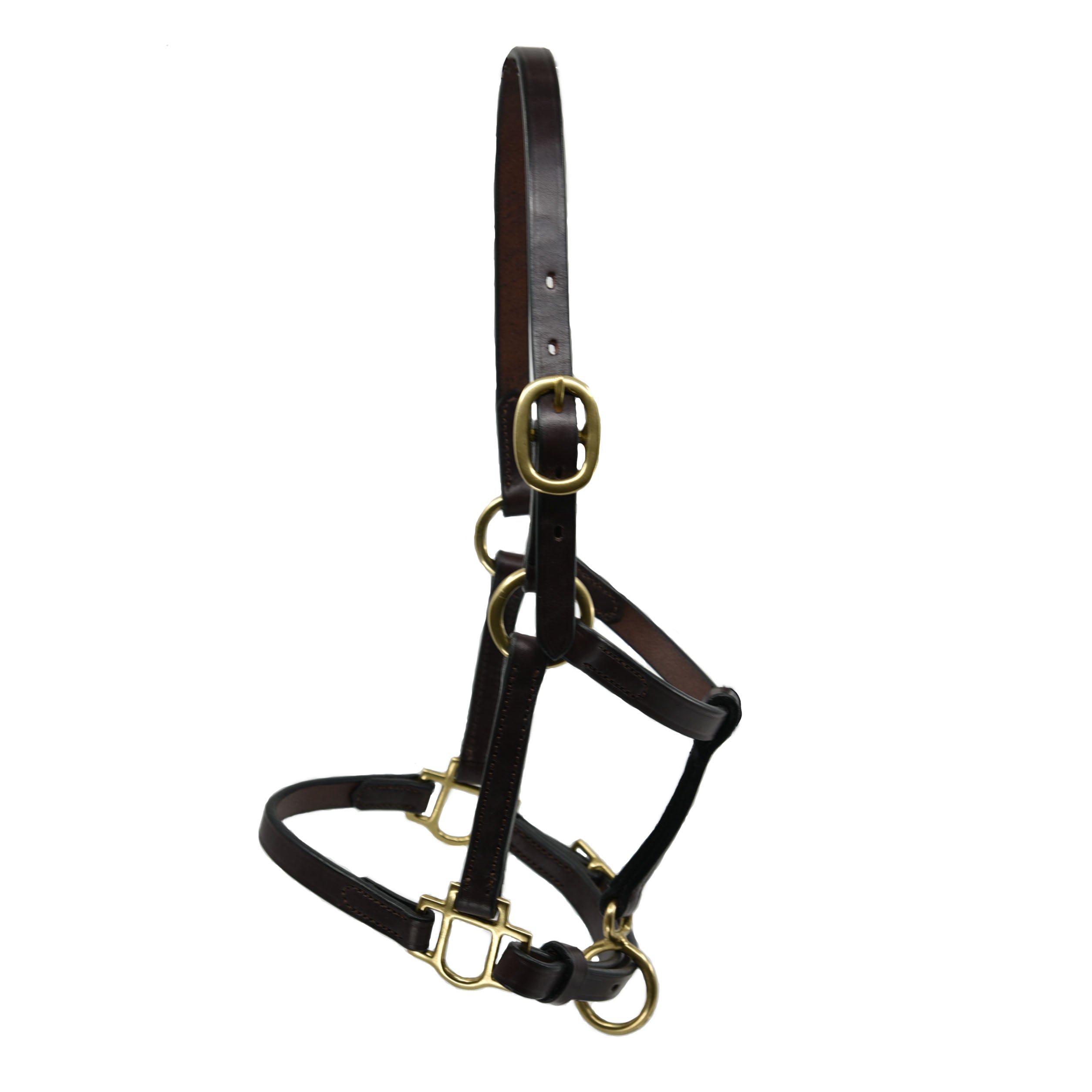Dark leather weanling halter, Freedman's brand, with adjustable chin strap and brass rings.