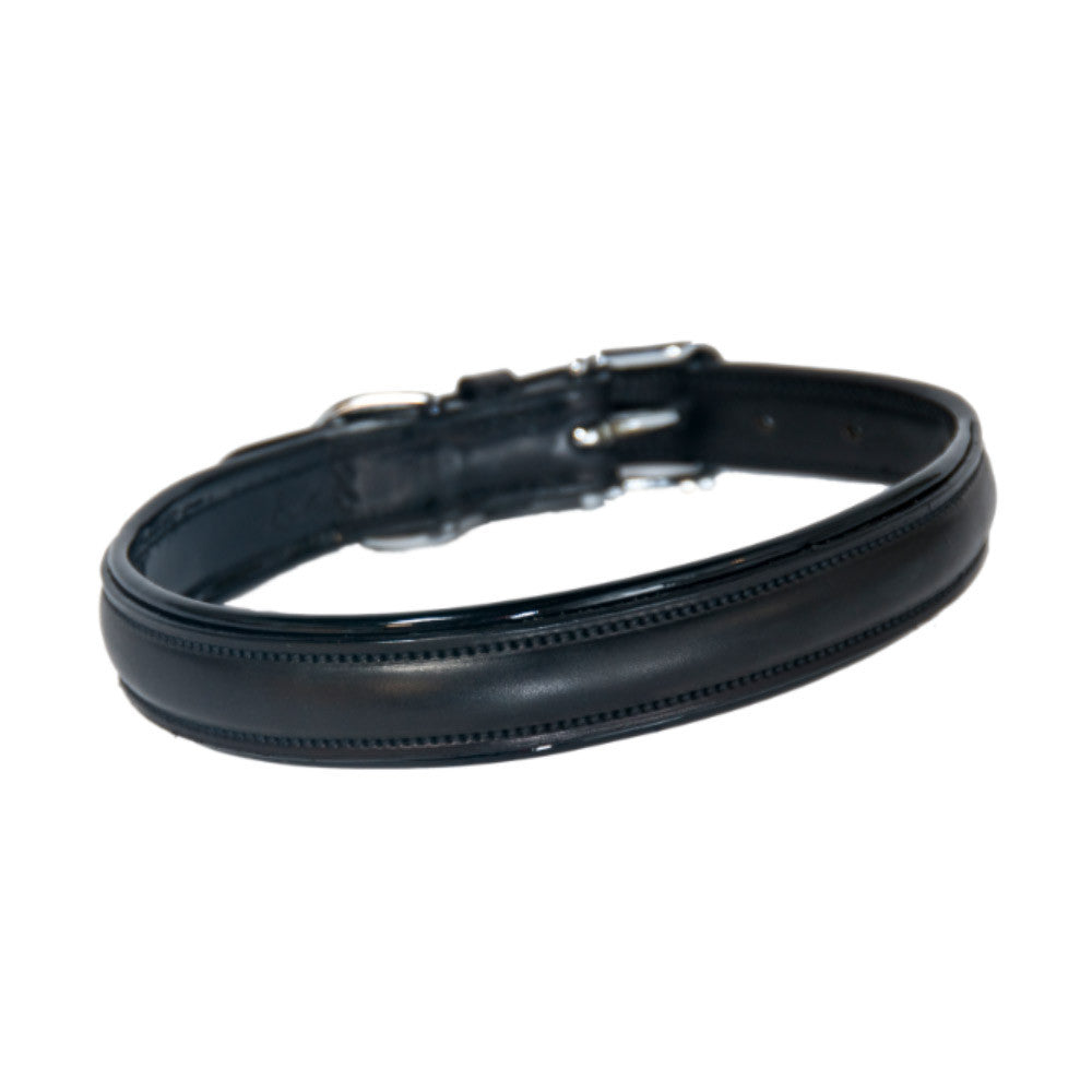 Padded Dog Collar (Last Call Final Sale)