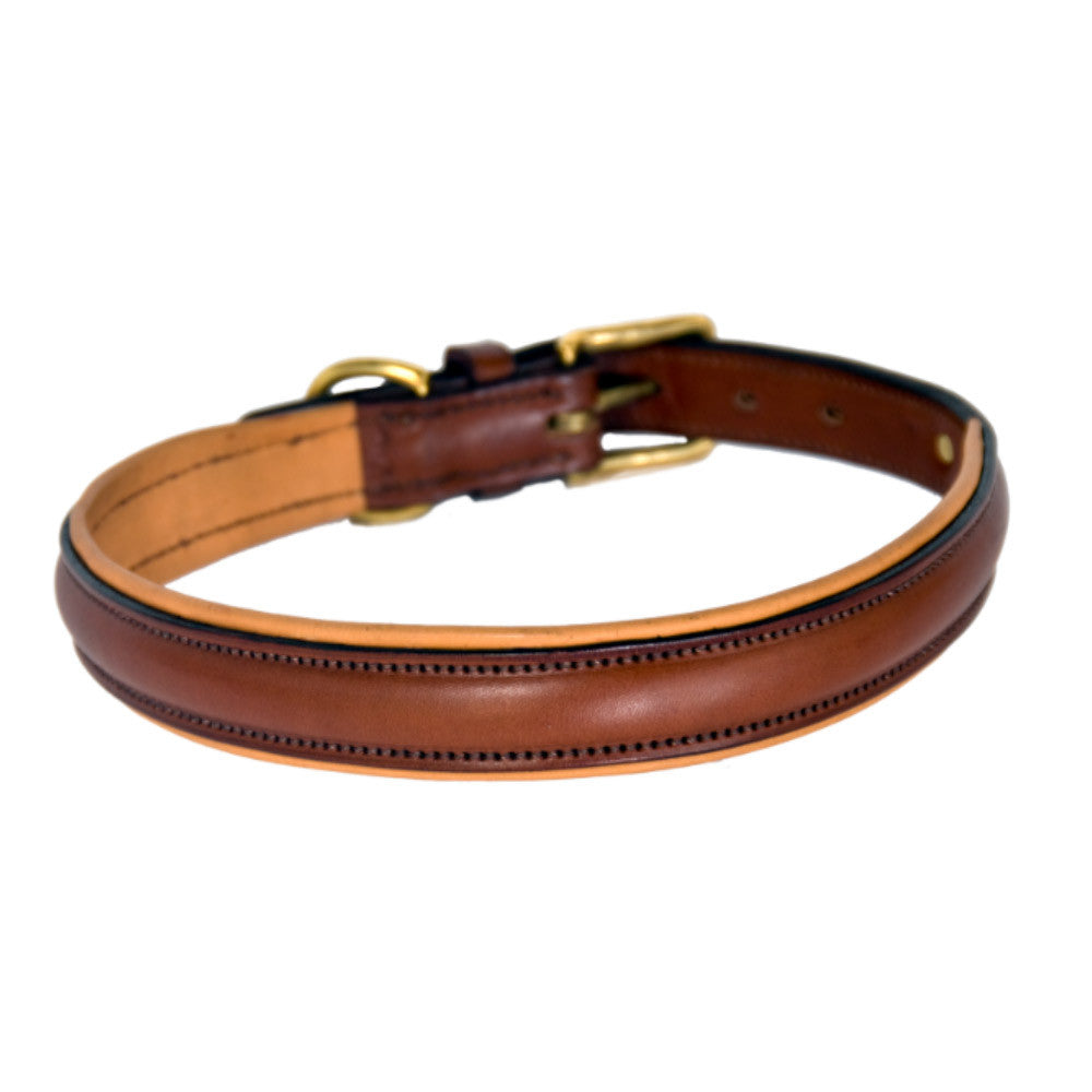 Padded Dog Collar (Last Call Final Sale)