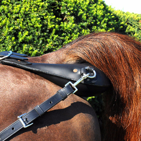Freedman's Bustle with Back Strap: Leather Horse Tack with Buckle and Snap Details