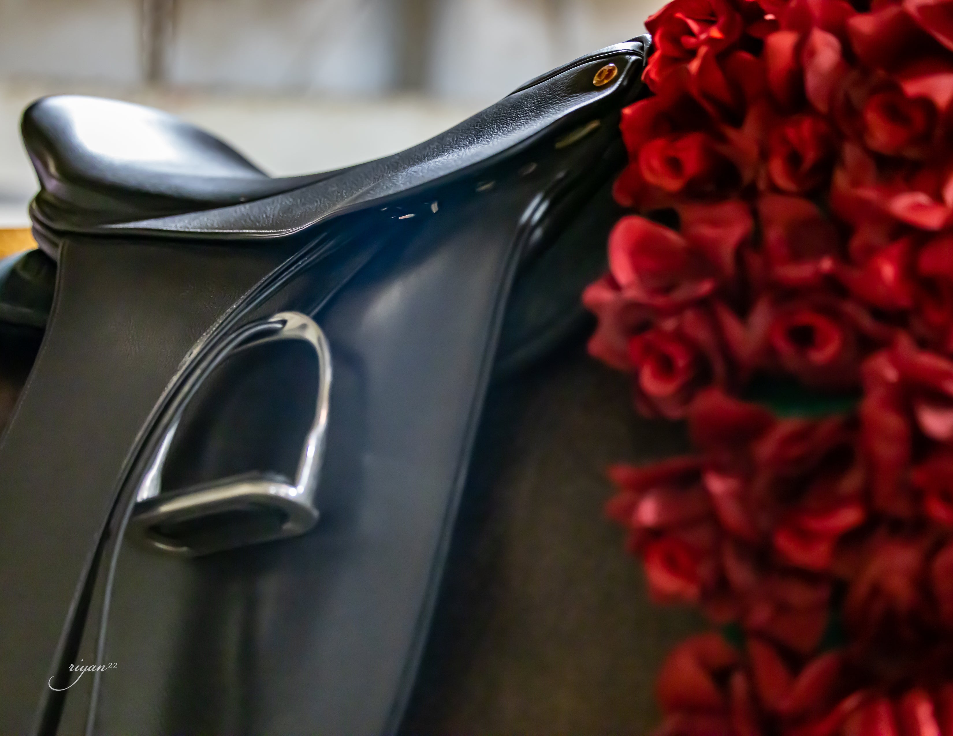Freedman's Timeline: A History of Tradition