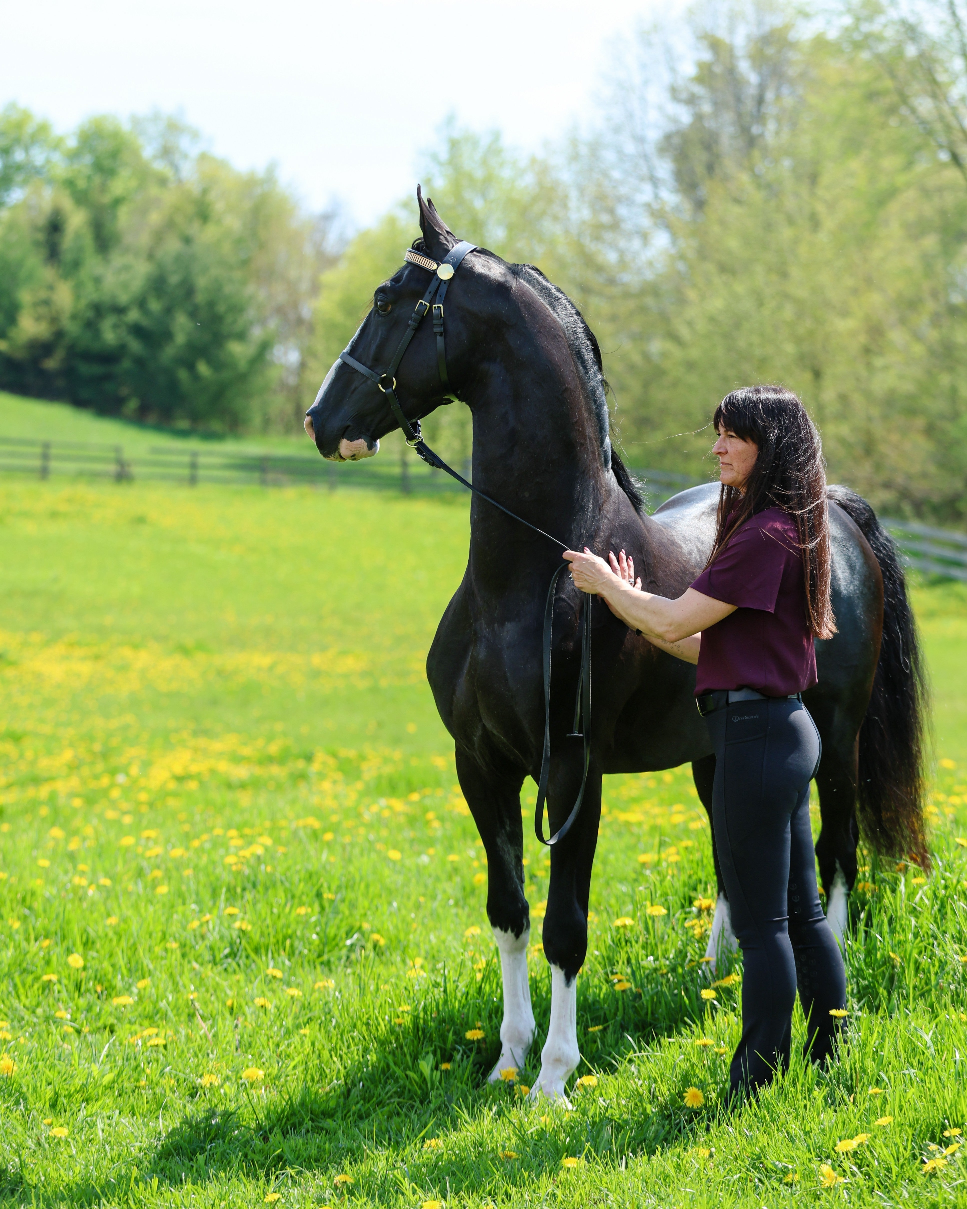 The Woman Behind the Jods - Nicole Freedman