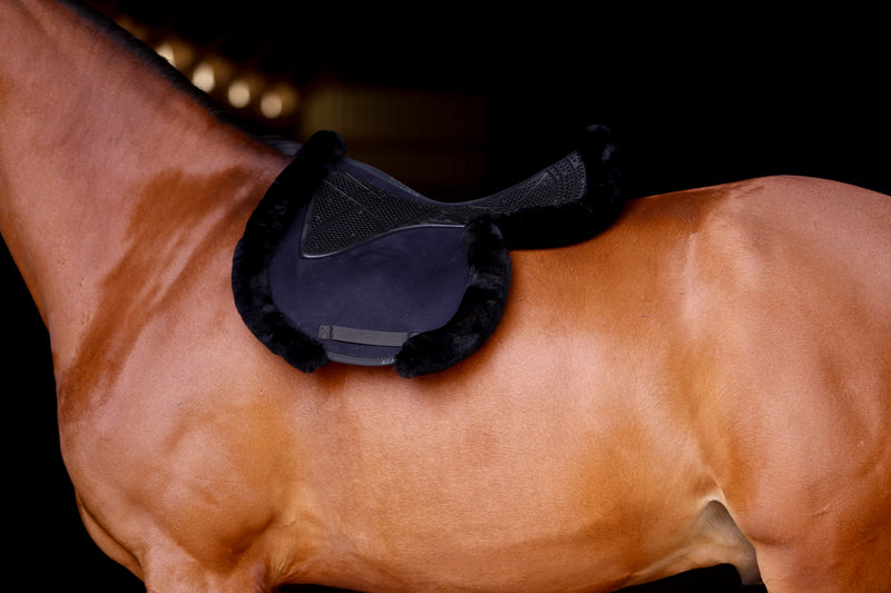 Black Acavallo jump numnah or hunter gel/memory foam pad. Black version on horse.

