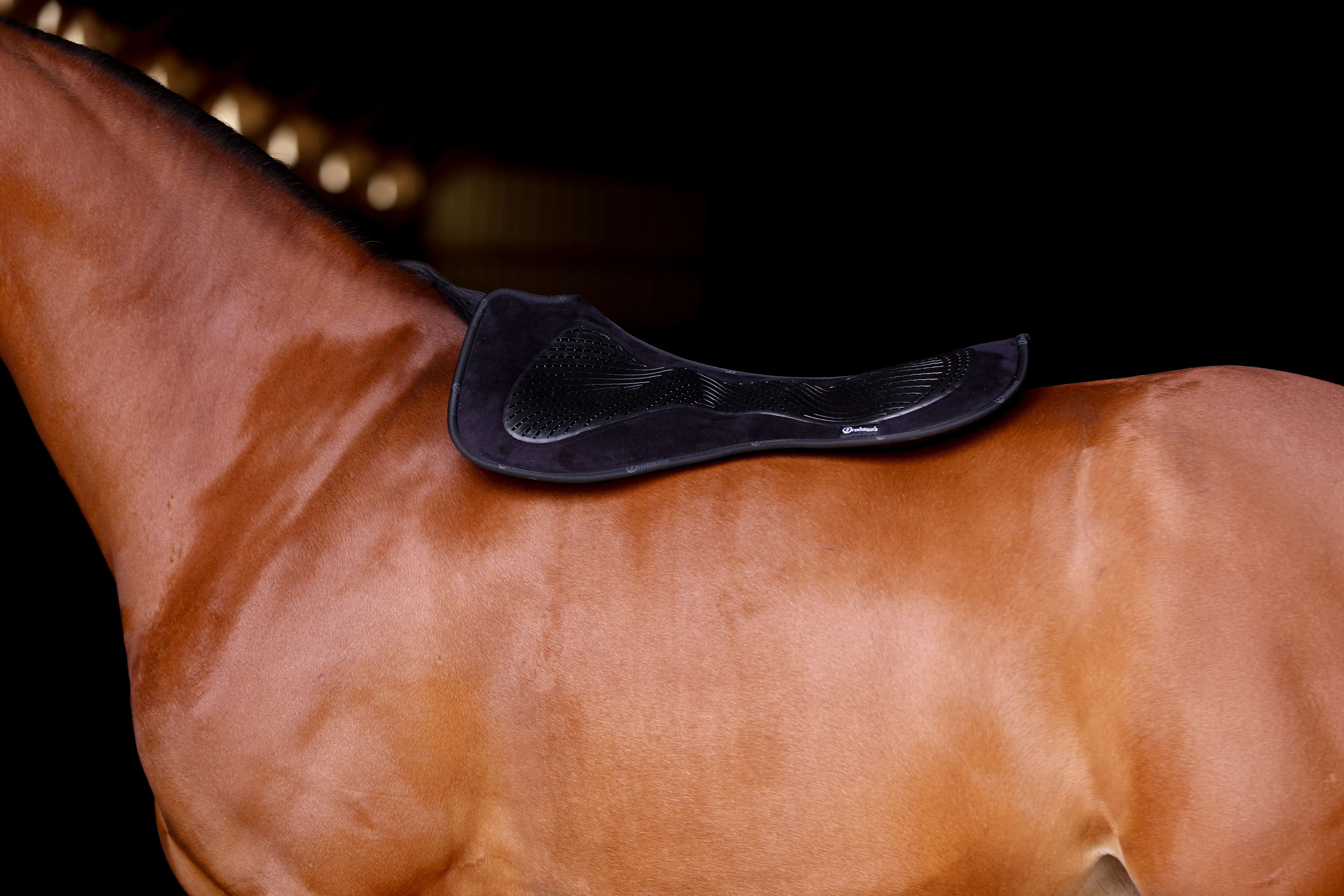 Acavallo Memory Foam Pad on a Horse
