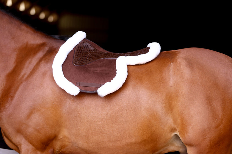 Black Acavallo jump numnah or hunter gel/memory foam pad. - on a horse.