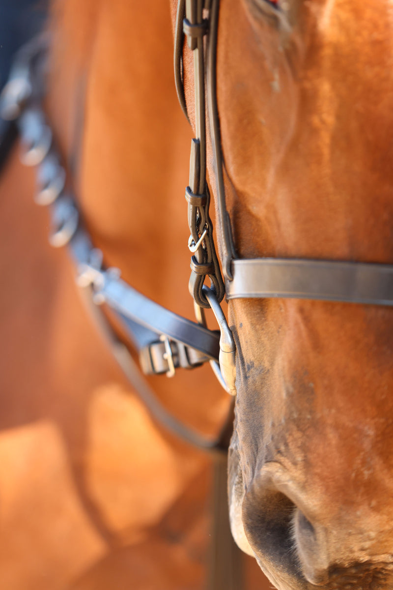Académie 5 Position German Martingale