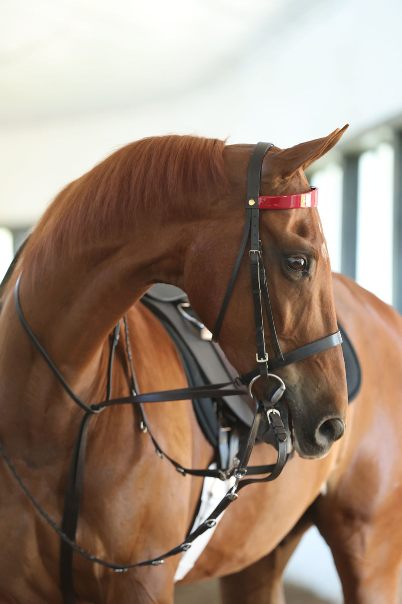 Académie Snaffle Bridle w/ 1/2 Laced Rein