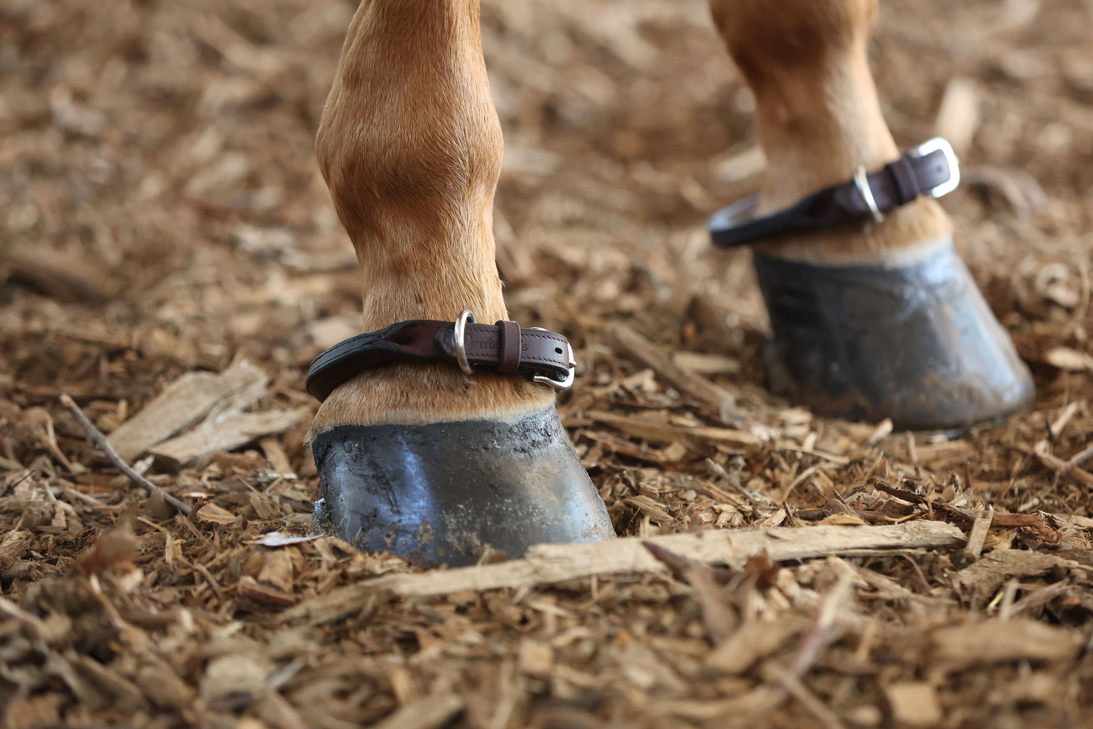 ACTraining Rolled Ankle Straps