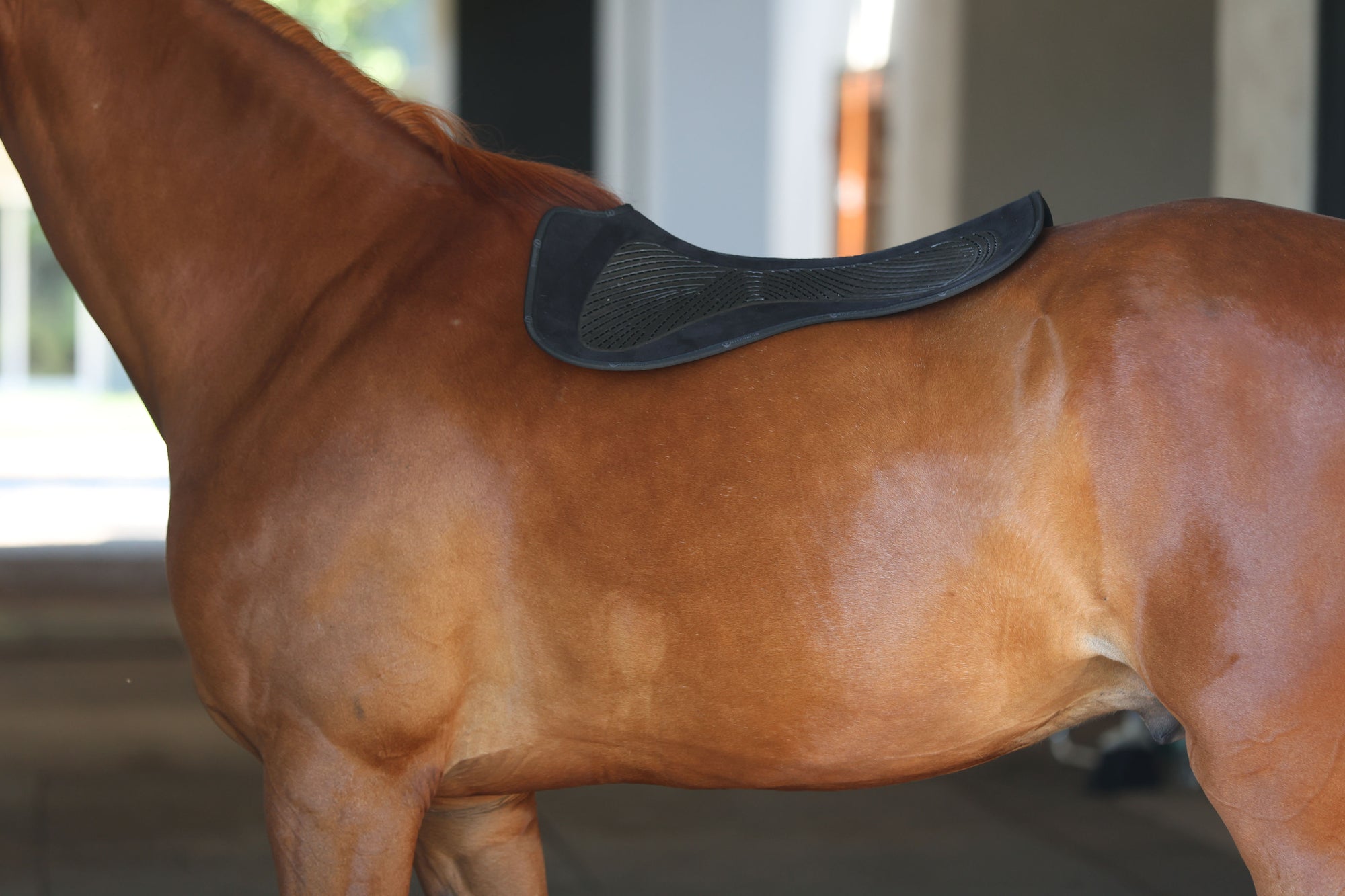 Saddle Pads