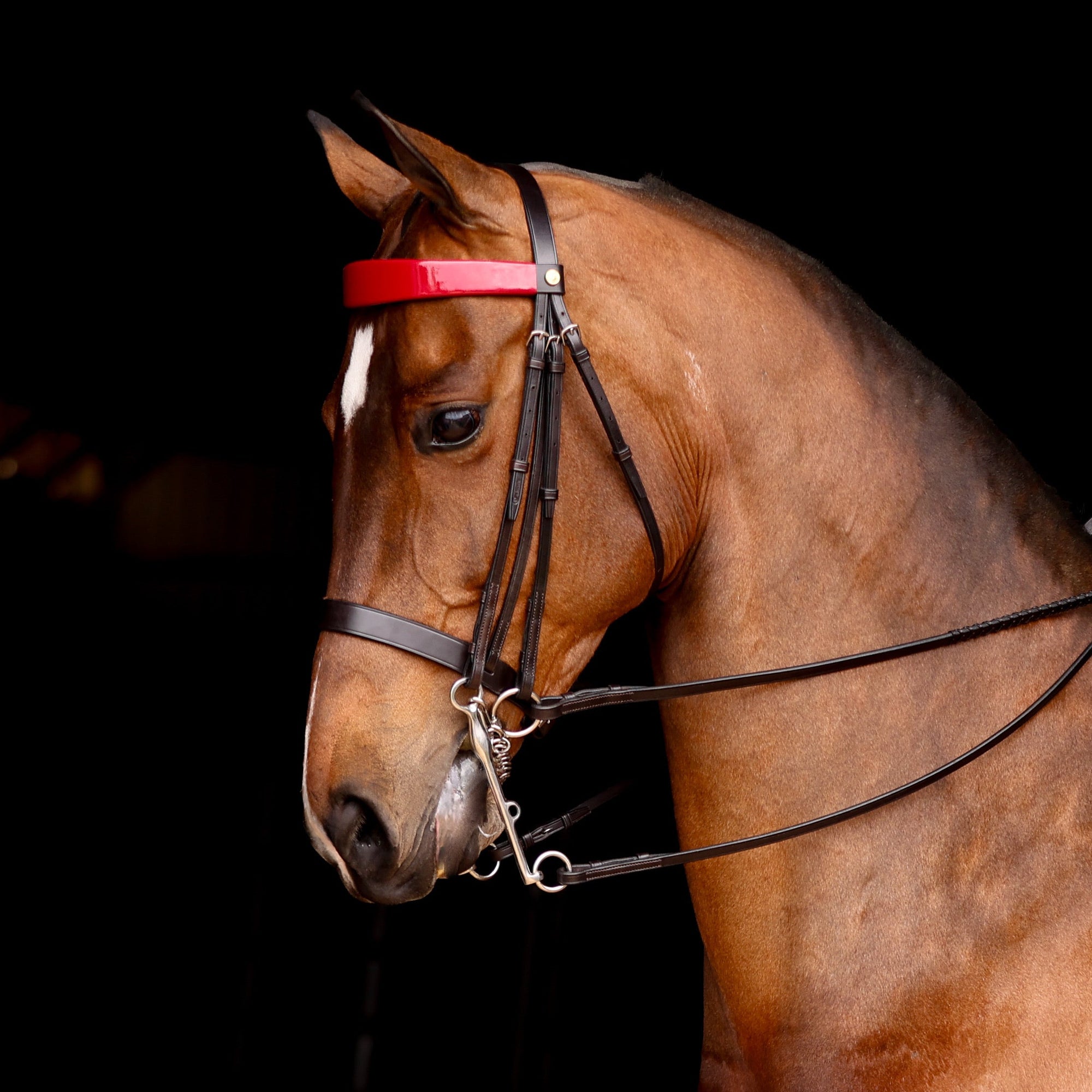 Show Bridles