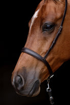 Close-up of an ACTraining Padded Caveson component, showing brown leather construction, buckles, stitching, and padding details, isolated on a dark background.