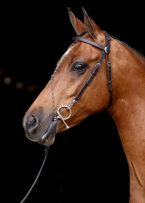 ACTraining Padded Over Check Snap Bridle