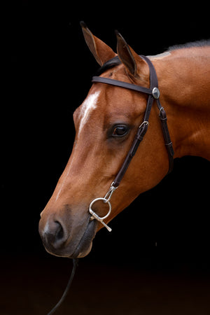 ACTraining Snap Bridle