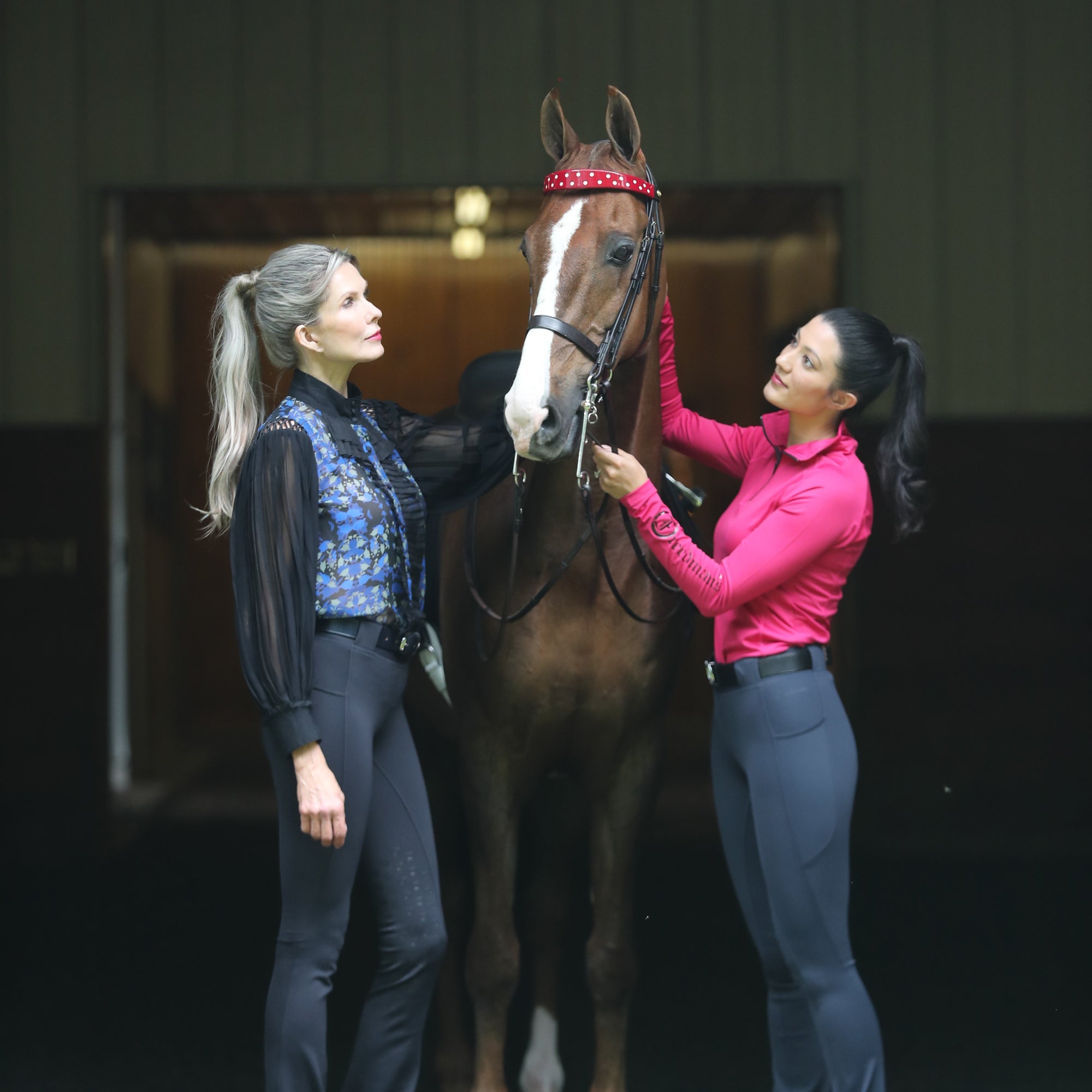 #TeamFreedmans Trainer Incentive