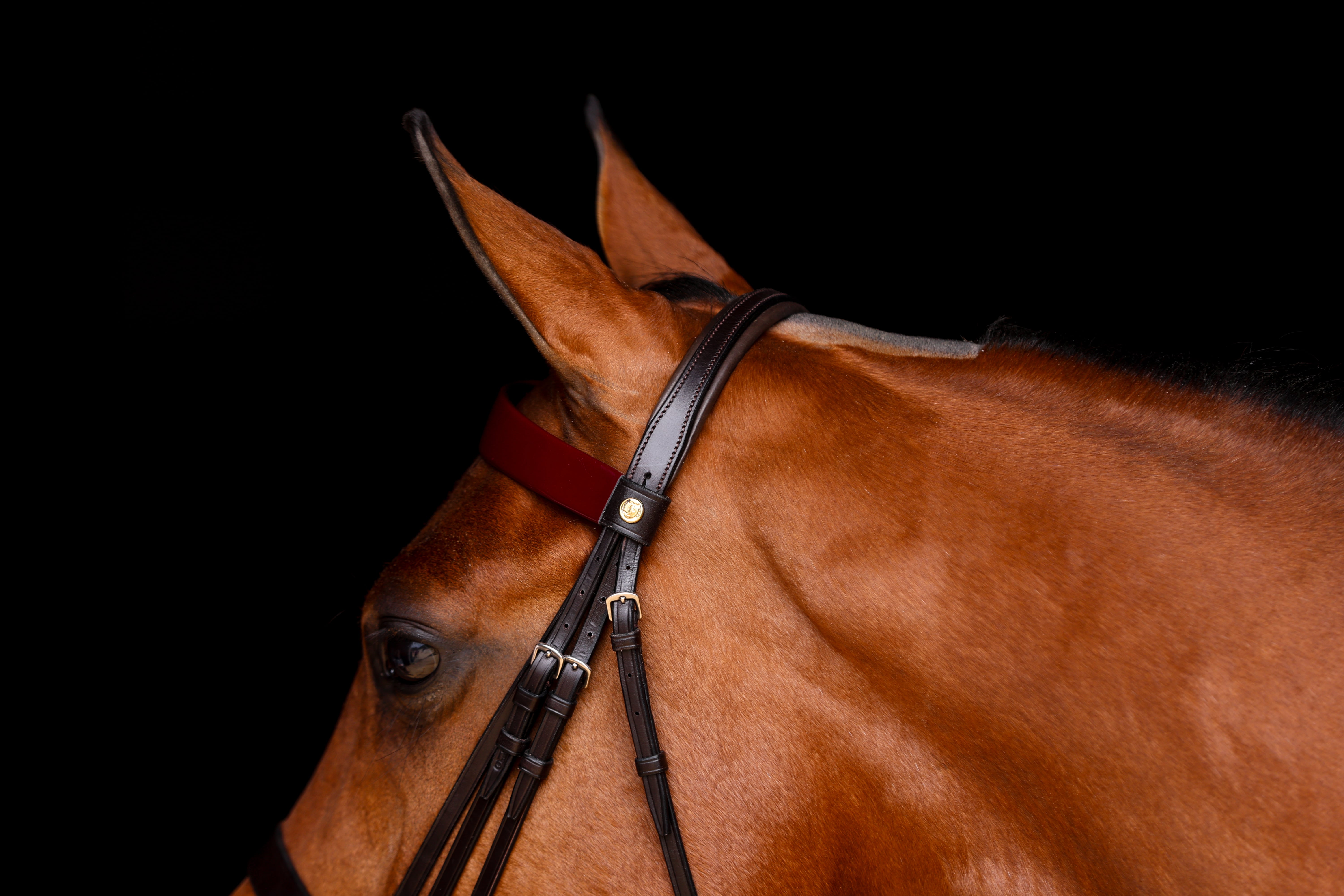 Close-up of the Advantage Comfort Padded Double Bridle in brown leather, showcasing the padded headpiece and intricate buckle details.