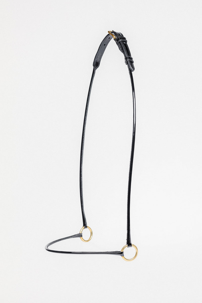 Black leather Arabian Show Cable Halter with gold rings, shown on a white background.