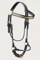 Black leather horse halter with gold-tone hardware and a decorative gold chain pattern on the browband, shown against a plain light gray background.