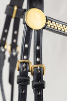 Close-up of a black leather strap accessory with polished gold-tone metal buckles and a round gold medallion, shown against a light neutral background.