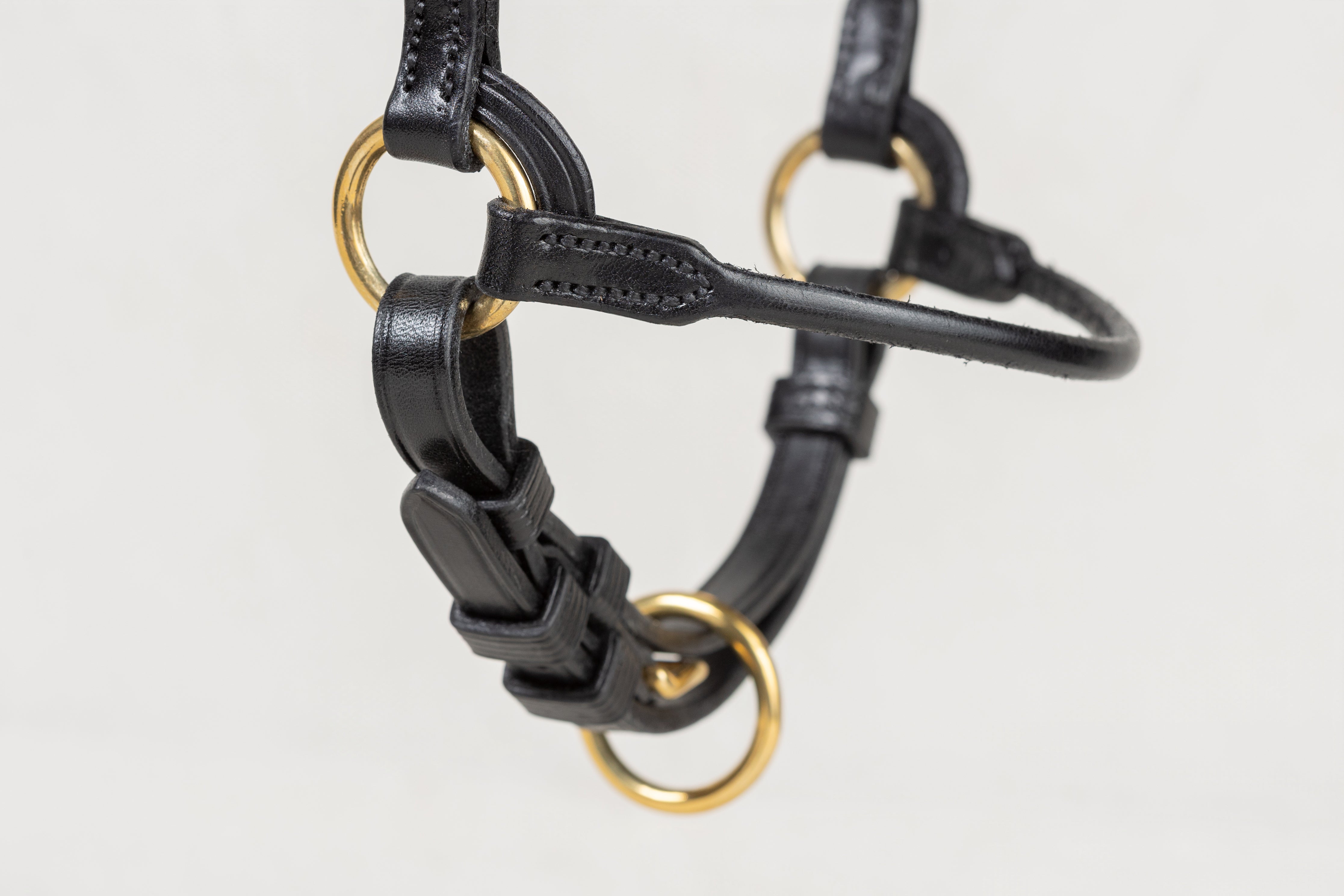 Black leather horse bridle with gold-tone metal rings and bit, shown against a plain light gray background.