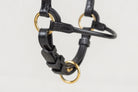 Black leather horse bridle with gold-tone metal rings and bit, shown against a plain light gray background.