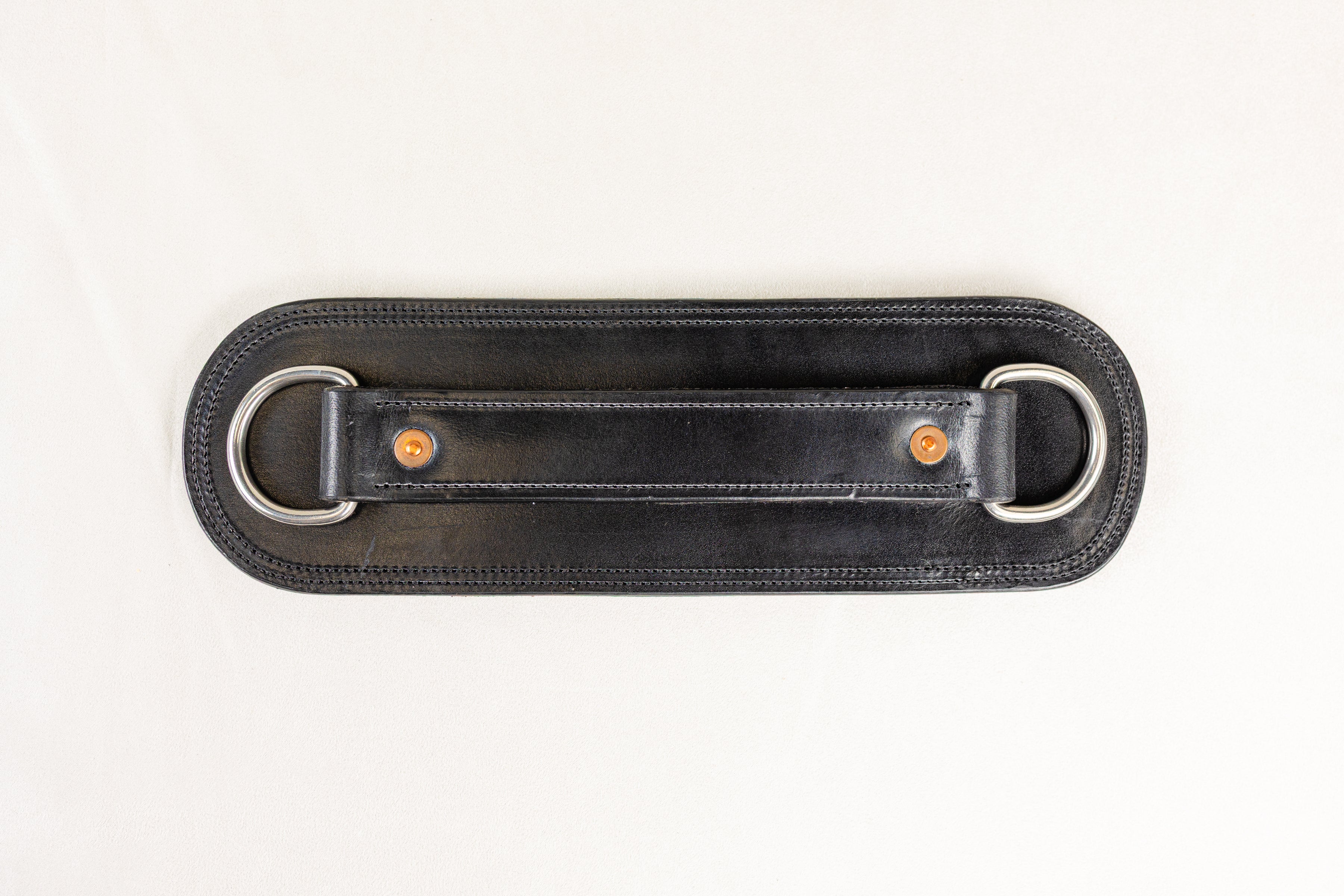 Close-up of Leather Harness Band with Copper Rivet

