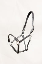 Black leather horse halter, showcasing the detailed stitching and brass hardware, including buckles and rings, laid out on a clean white background.
