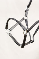 Close-up of a black leather horse halter, showcasing the brass buckle, rings, layered straps, detailed stitching, and overall construction against a white background.