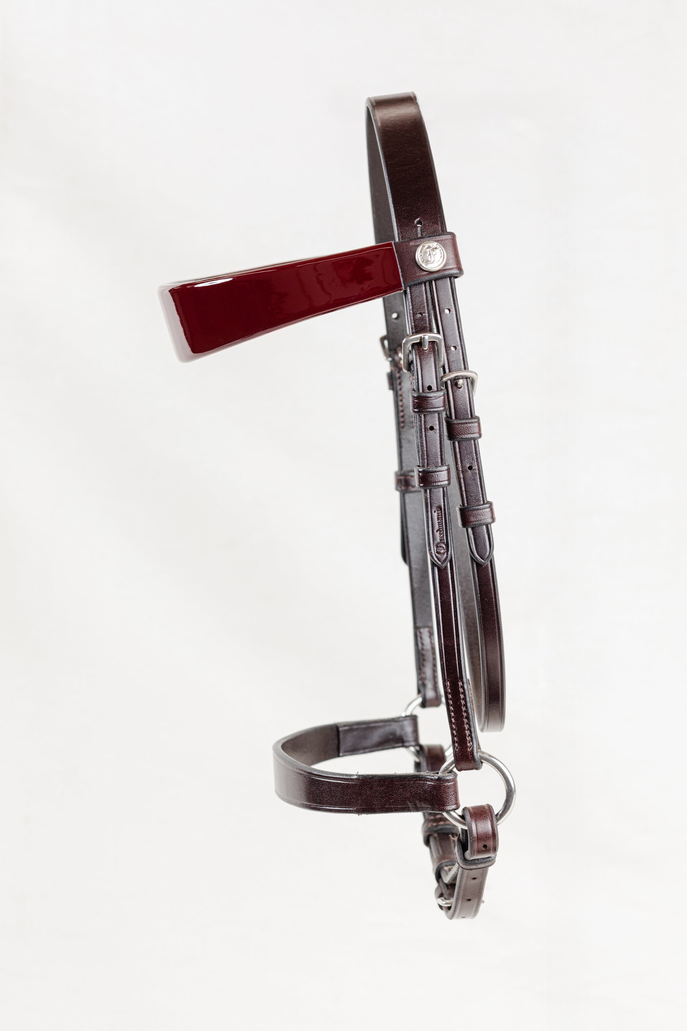 Morgan Weanling Horse Show Halter