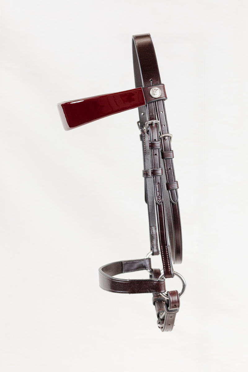 Morgan Weanling Horse Show Halter