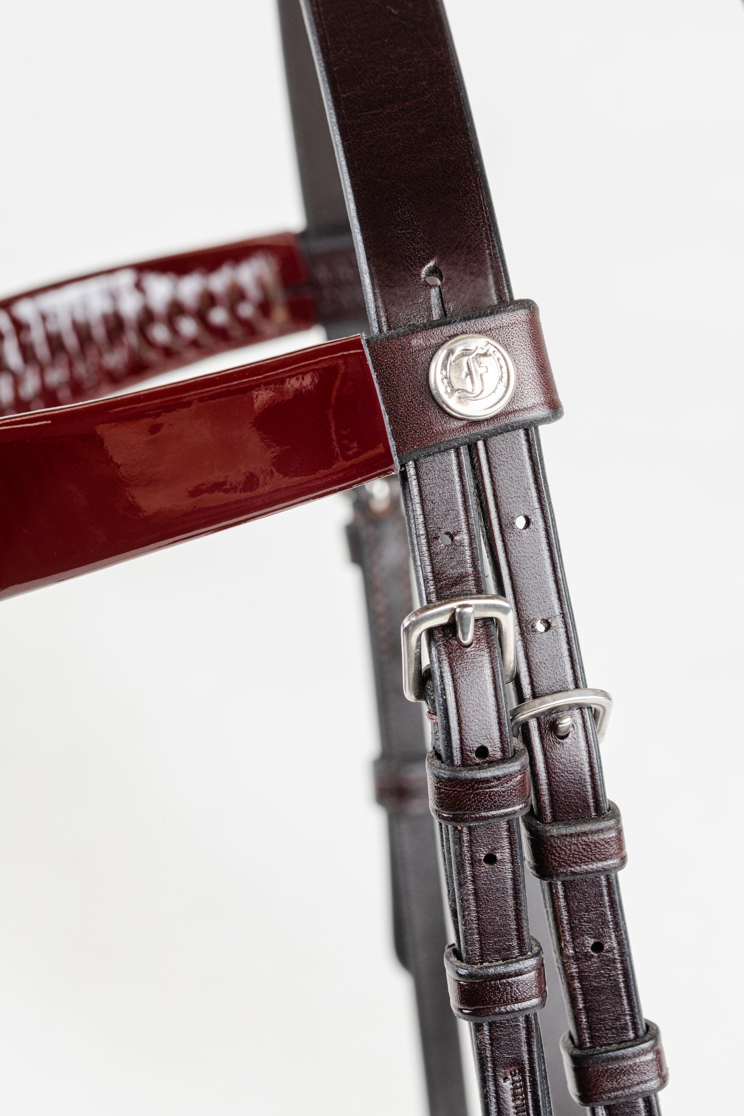 Close-up of Freedman’s Morgan Show Halter – Burgundy Leather with Silver Button Ends