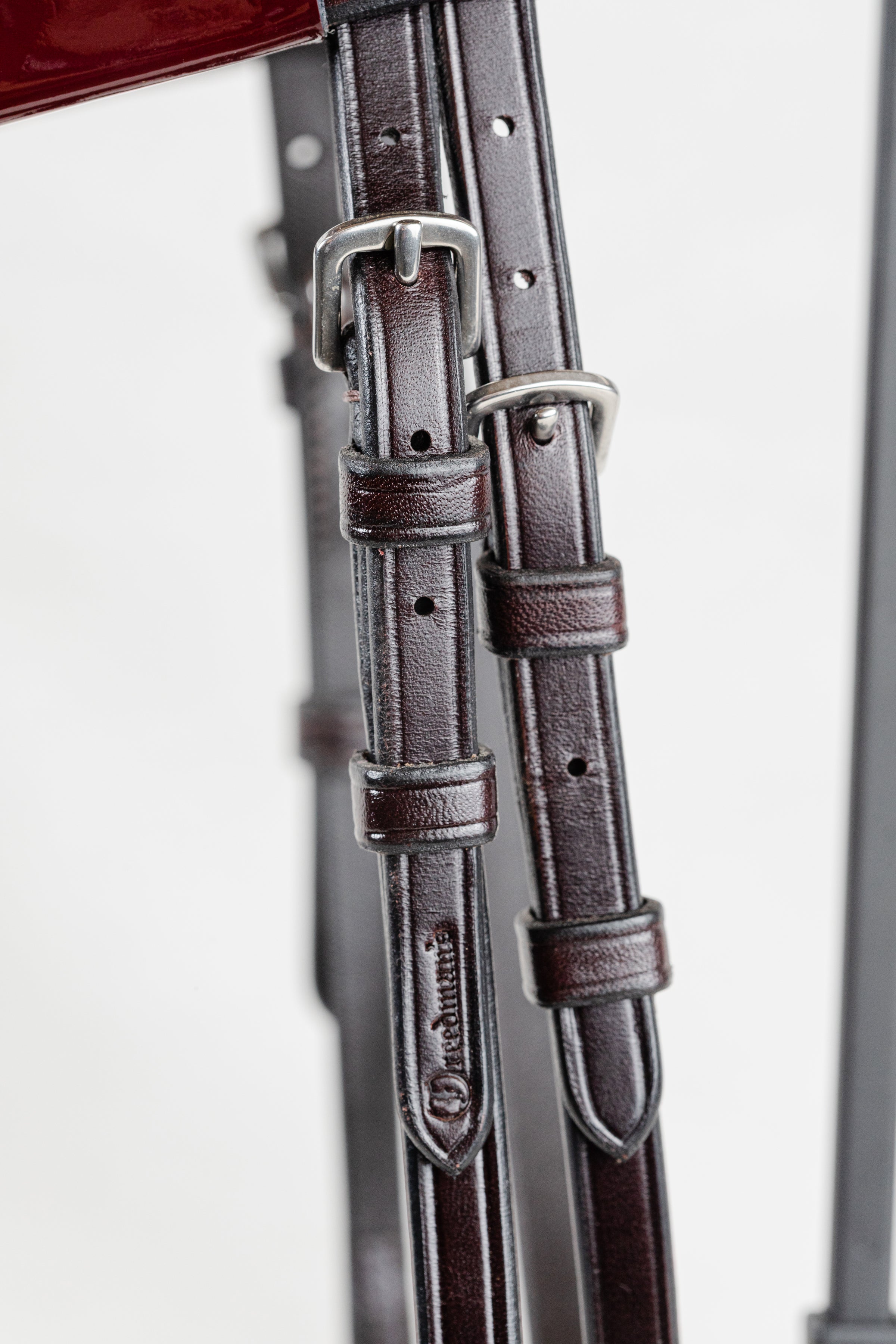 Morgan Weanling Horse Show Halter