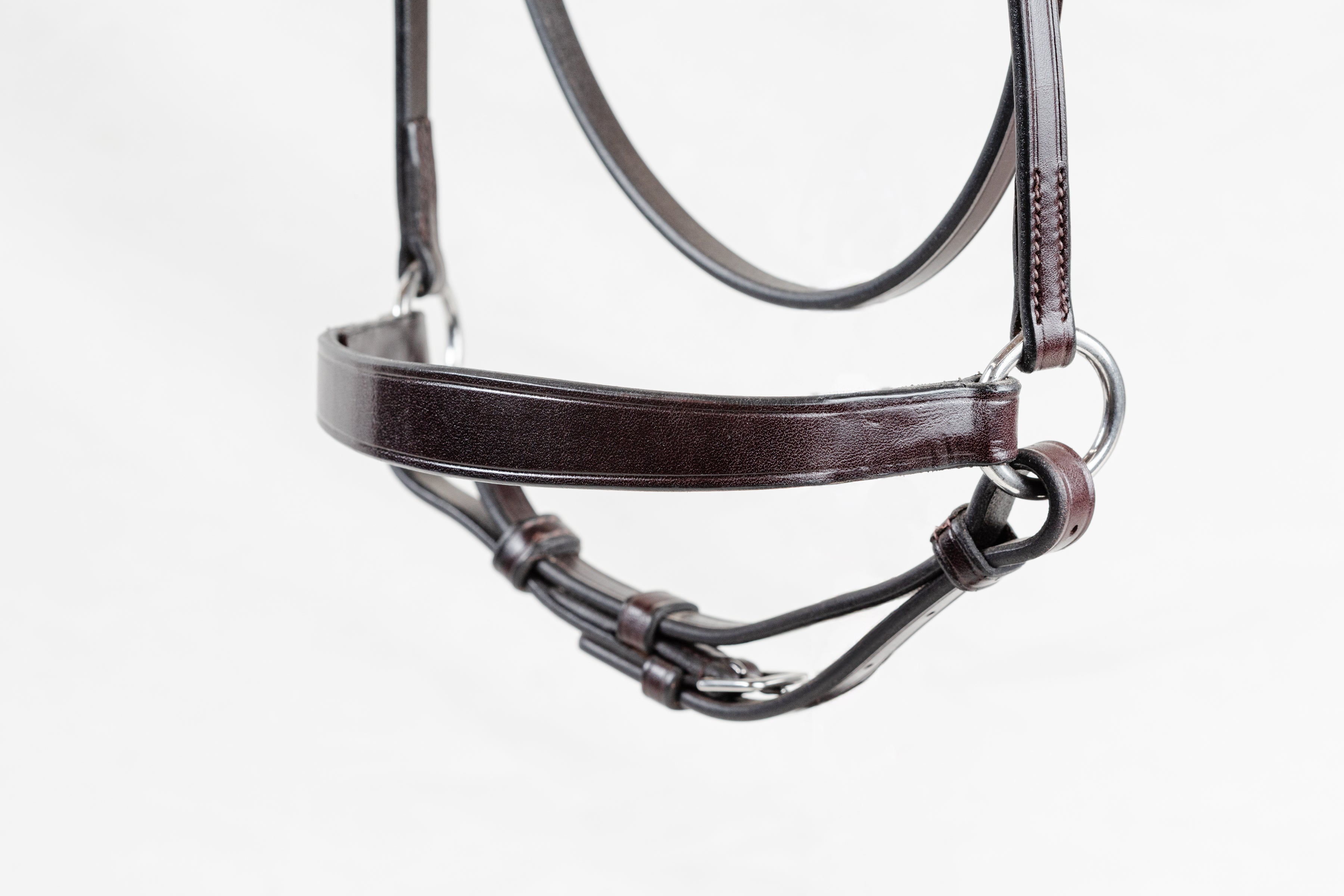 Morgan Weanling Horse Show Halter