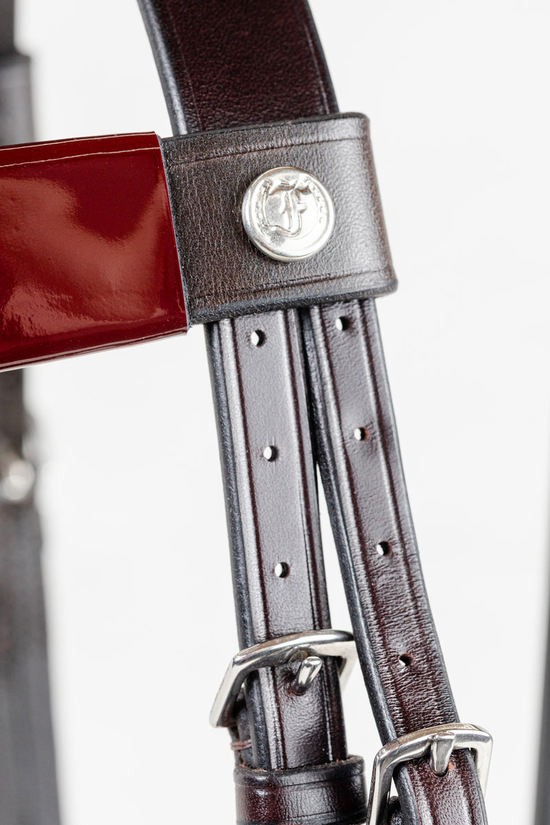 Close-up of a leather bridle with a silver  Freedman's logo buckle on a white background