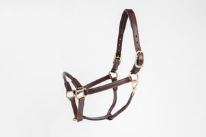 3/4" Cob Halter with Rolled Nose and Padded Crown Name Plate Included