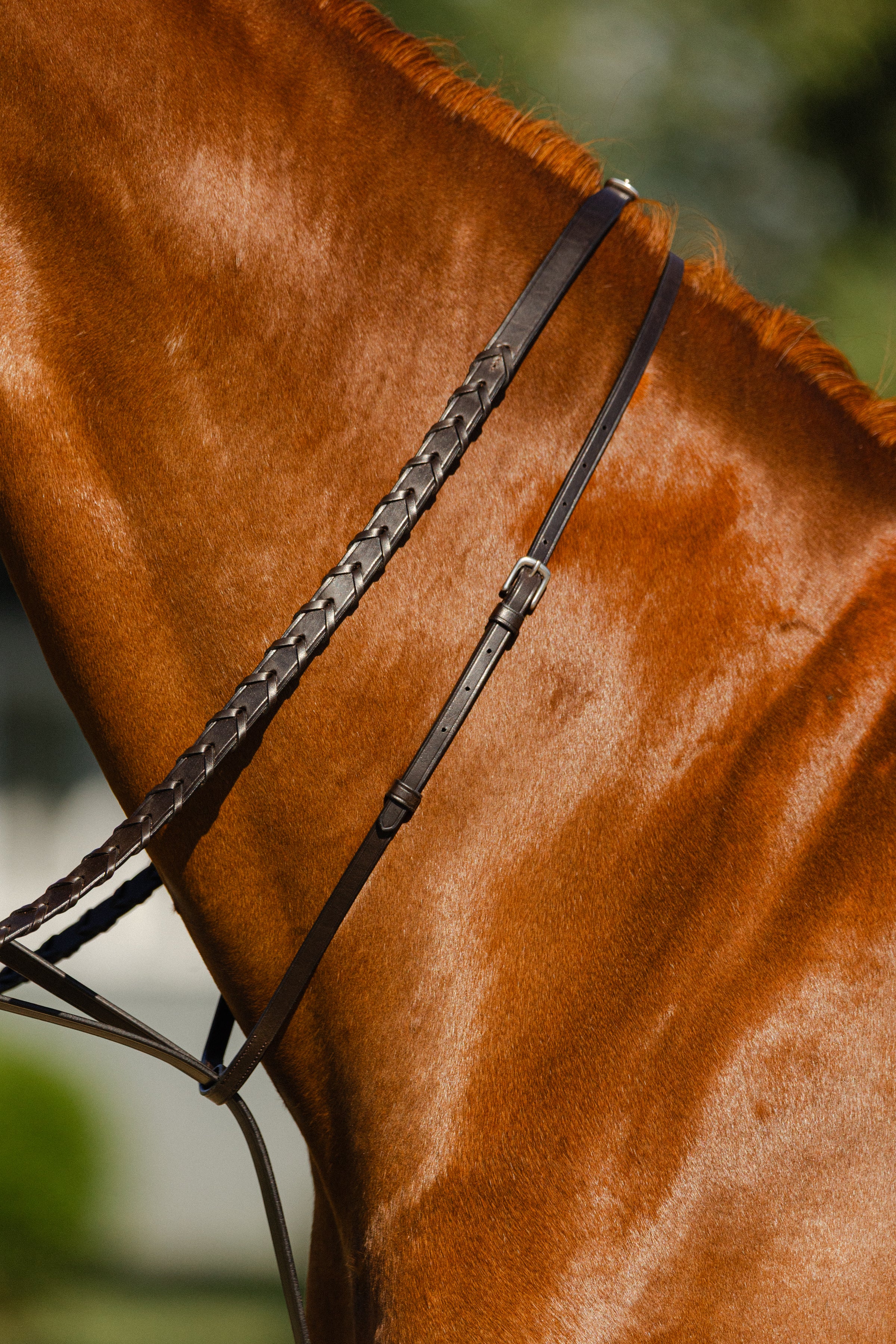 Académie 5 Position German Martingale