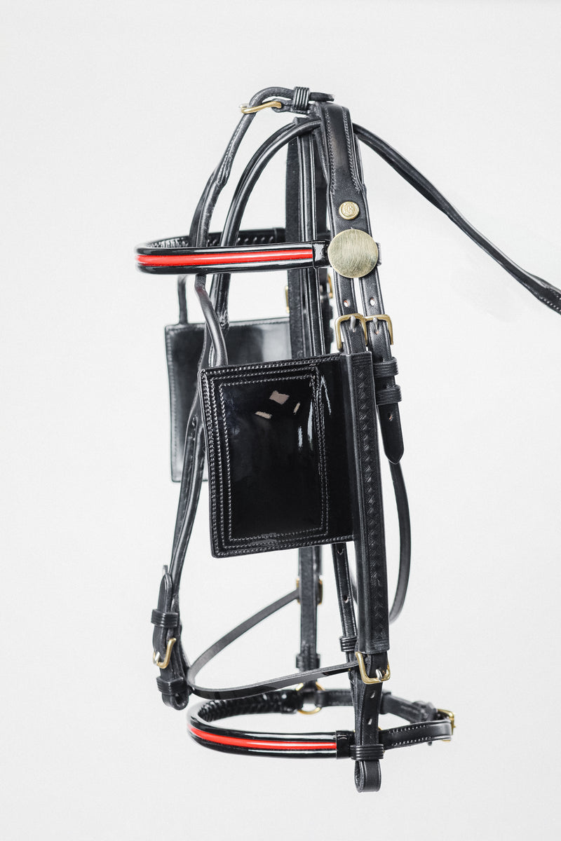 A black horse bridle with red accents.