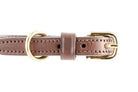 Freedman's Leather Dog Collar: Brown Leather with Gold Buckle and Detailed Stitching