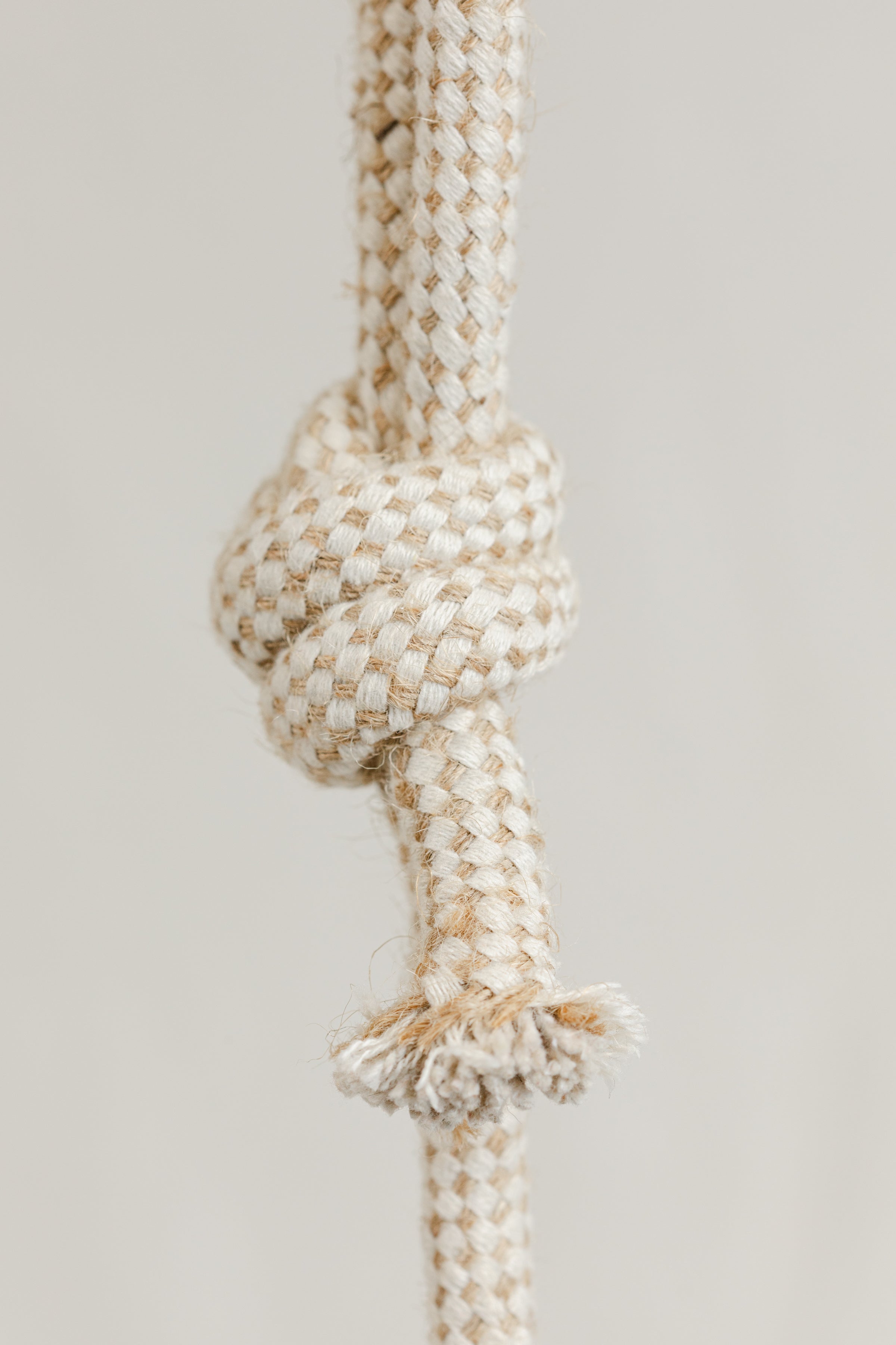 Freedman's Championship Ribbon Horse Toy