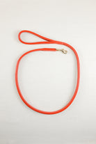 Red leather dog leash with a gold clasp.