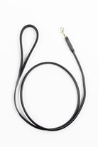 Black leather dog leash with a gold clasp.