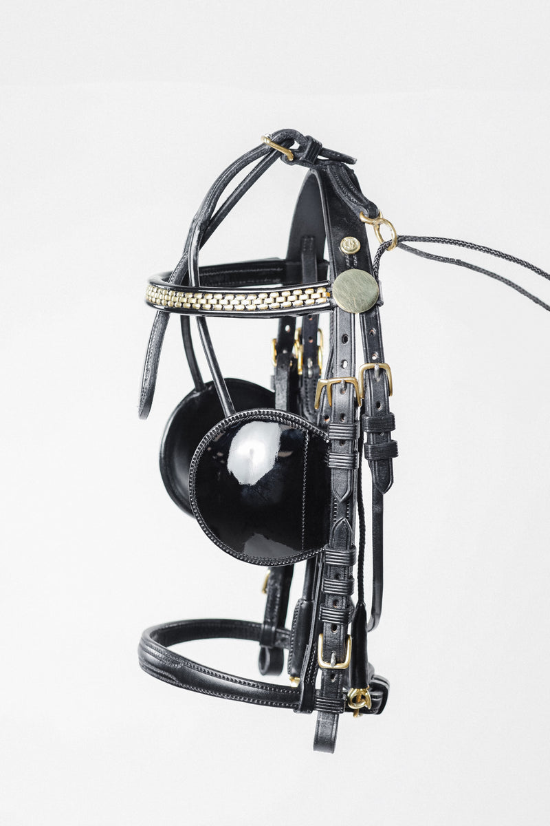 Black leather horse bridle with a snaffle bit and decorative browband, against a white background.