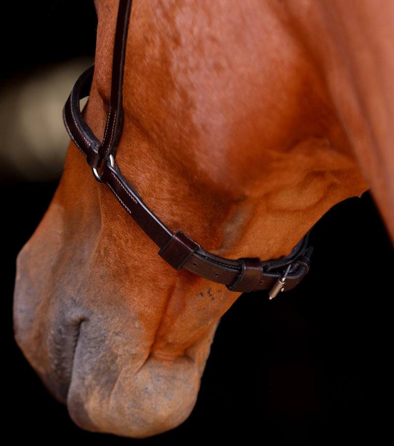 Front and Back View of Hidden Metal Tapered Caveson on Horse