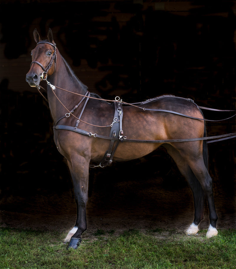 Full view of a horse wearing a brown leather Freedman's Quick Hitch Jog Harness, highlighting the quick-release mechanism, adjustable straps, breeching, and overall design, against a dark background.
