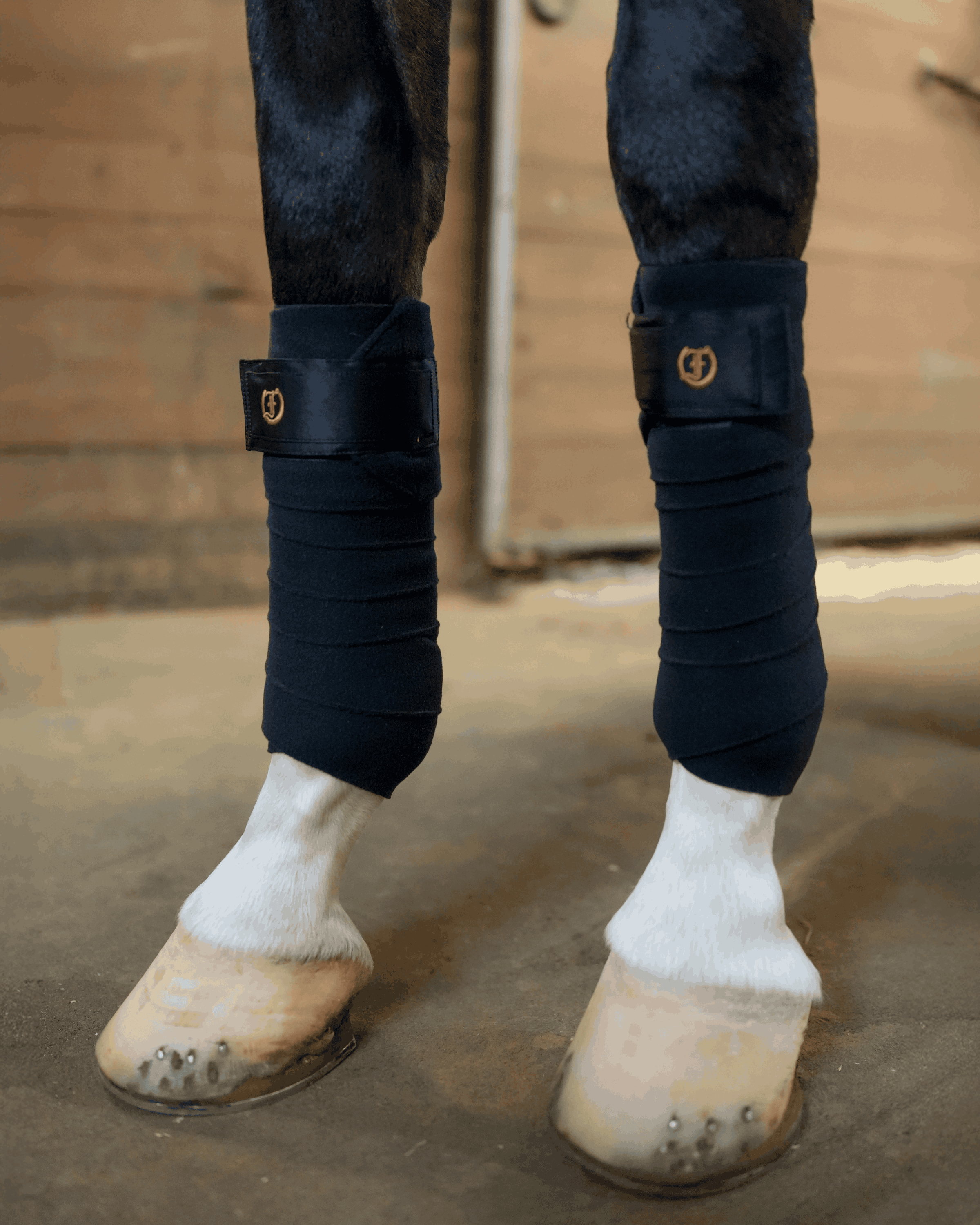 Horse wearing black Freedman’s Signature Polo Wraps on front legs in stable setting