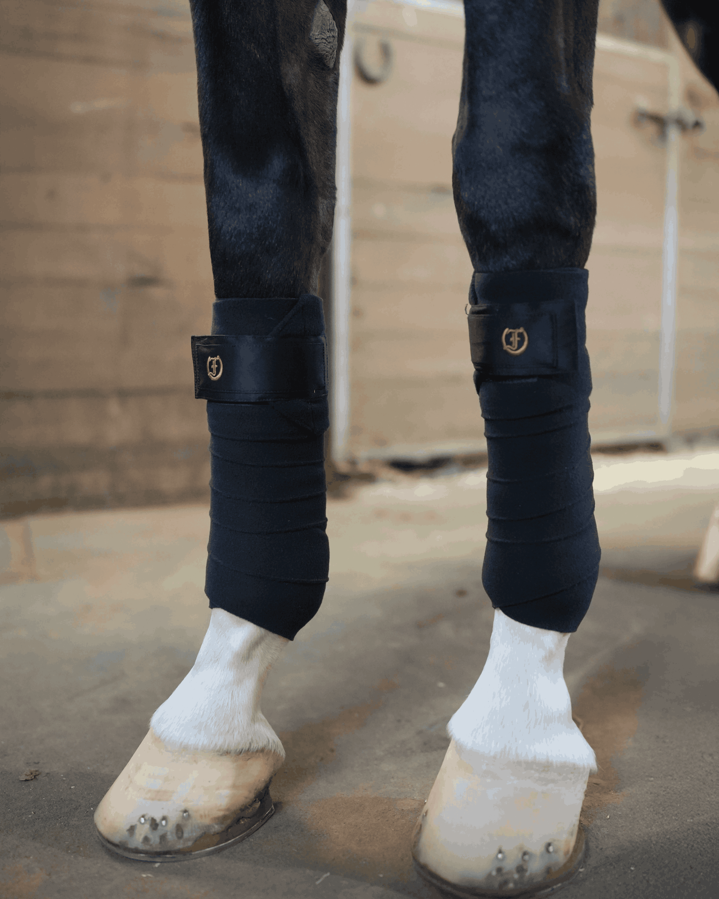 Black polo wraps with Freedman’s logo wrapped around a horse’s legs, providing support and protection during training.