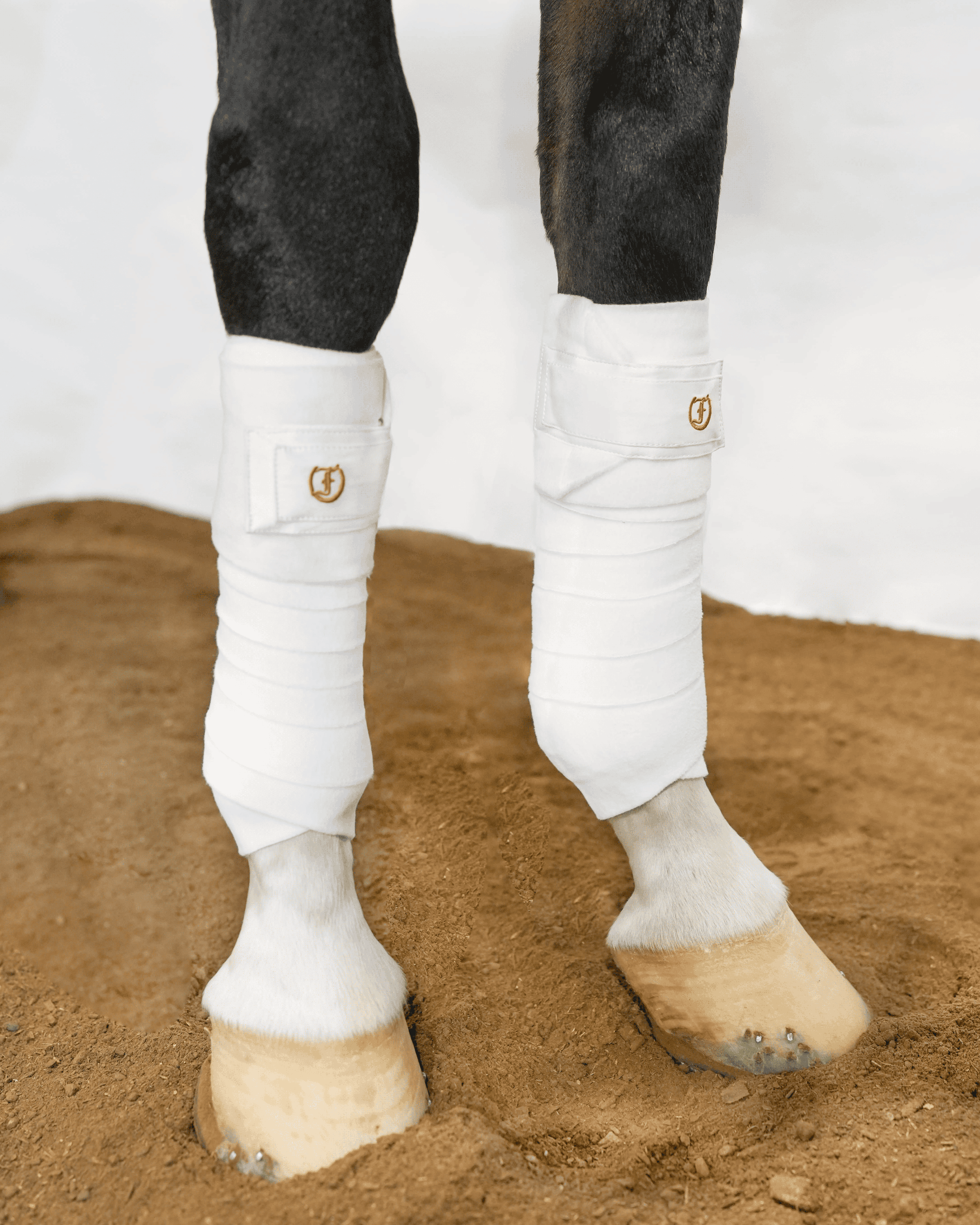 Horse wearing white Freedman’s Signature Polo Wraps on front legs in arena footing