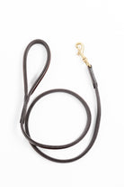 Brown leather dog leash with a gold clasp.
