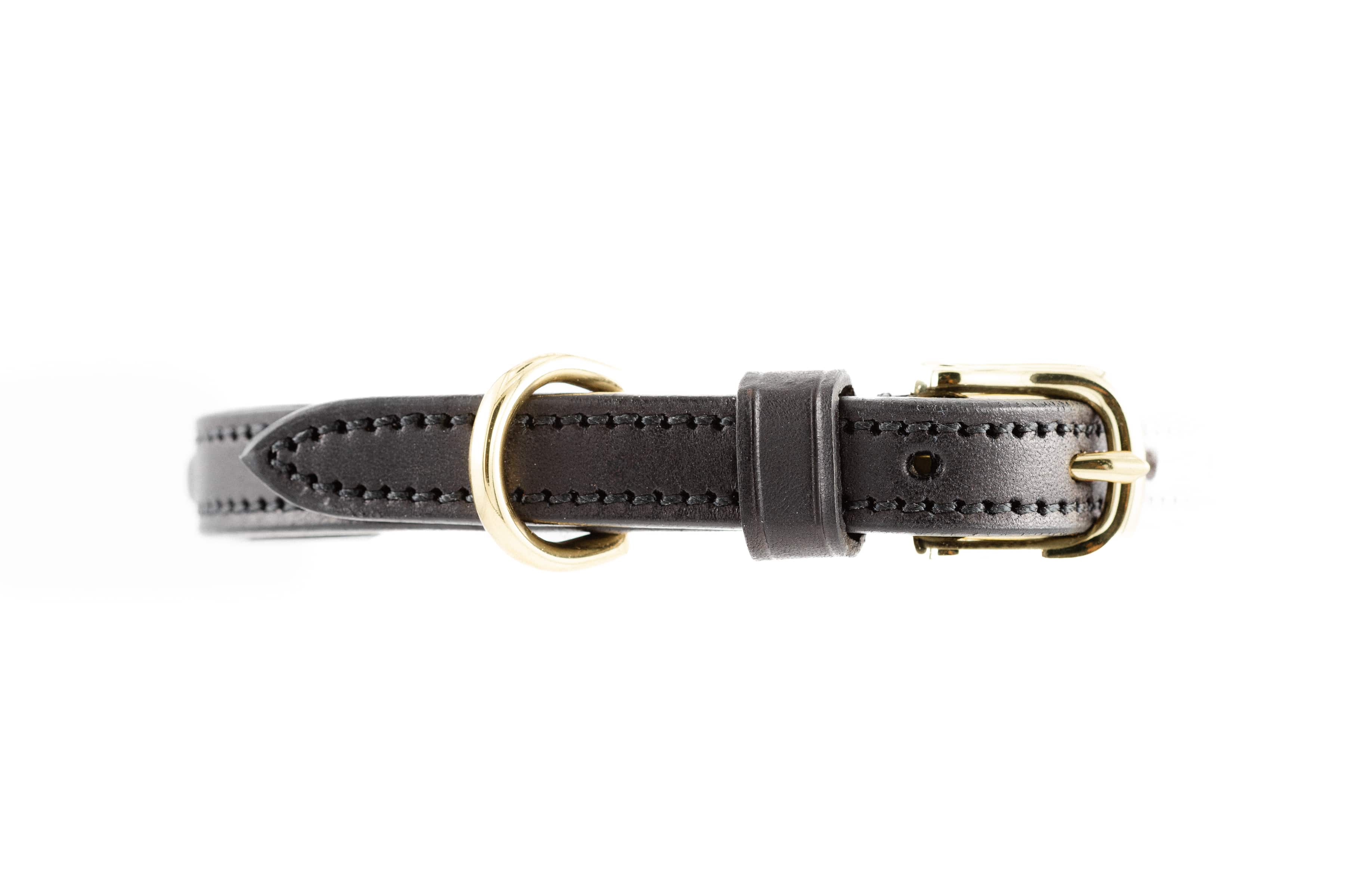 Raised Dog Collar in dark brown leather with gold hardware, shown from above on a white background.