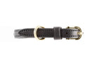 Raised Dog Collar in dark brown leather with gold hardware, shown from above on a white background.