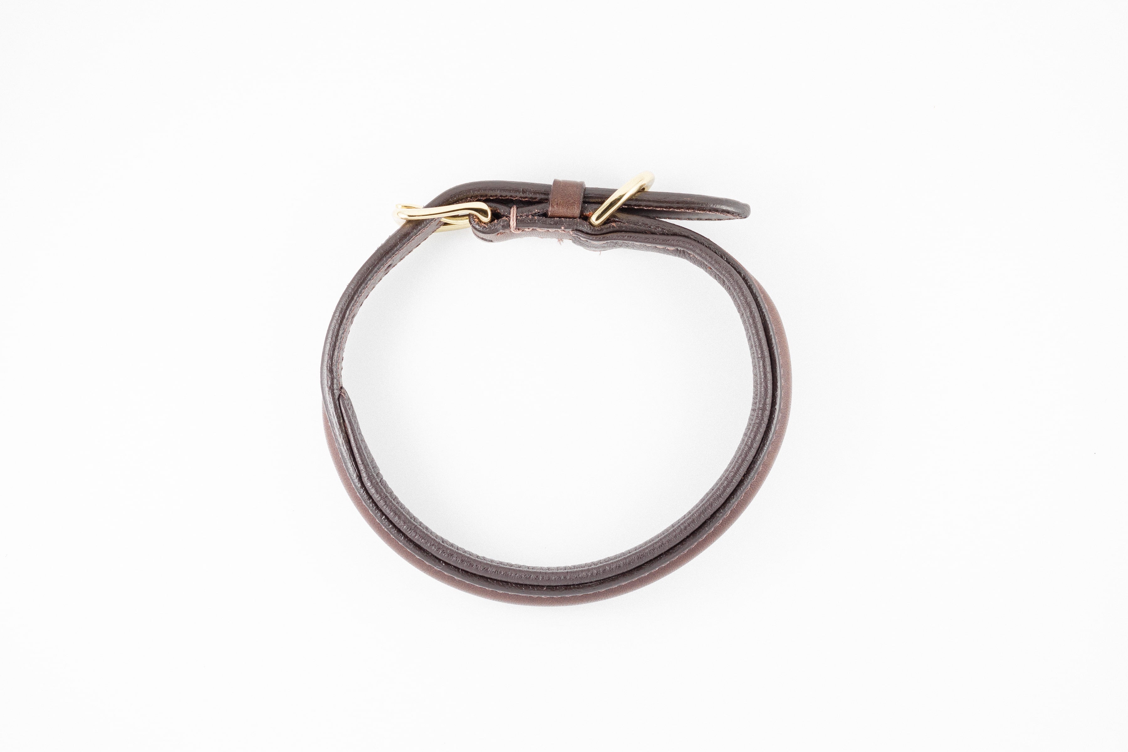 Brown leather dog collar with a gold buckle, shown from the back.


